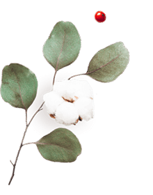 https://www.fotografiacasaluci.it/wp-content/uploads/2020/10/floating_image_06.png