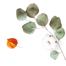 https://www.fotografiacasaluci.it/wp-content/uploads/2020/10/floating_image_07.png