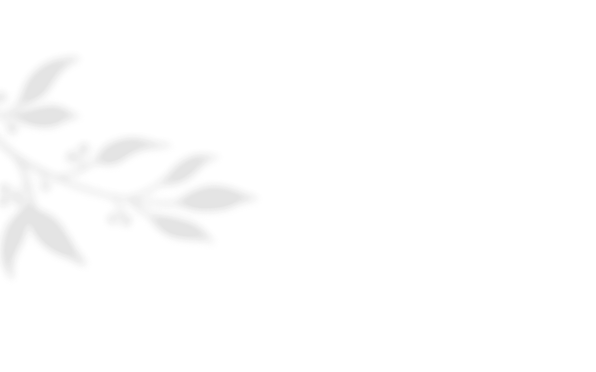 https://www.fotografiacasaluci.it/wp-content/uploads/2020/10/shadow_leaves_04.png