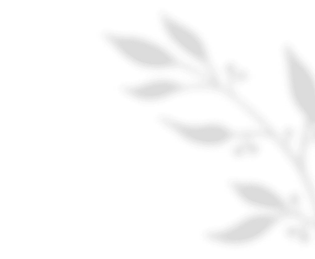 https://www.fotografiacasaluci.it/wp-content/uploads/2020/11/shadow_leaves_01.png