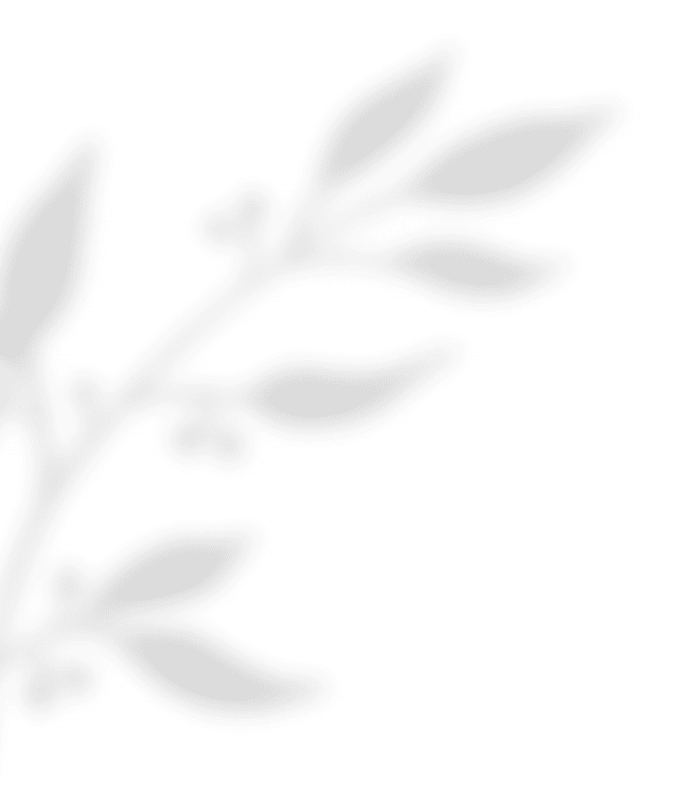https://www.fotografiacasaluci.it/wp-content/uploads/2020/11/shadow_leaves_02.png
