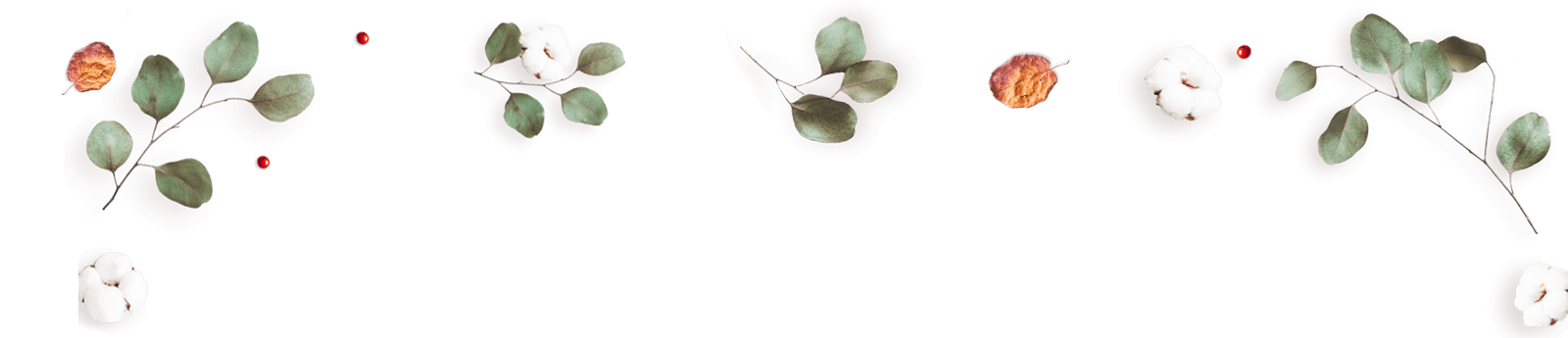 https://www.fotografiacasaluci.it/wp-content/uploads/2020/12/floating_image_12.png