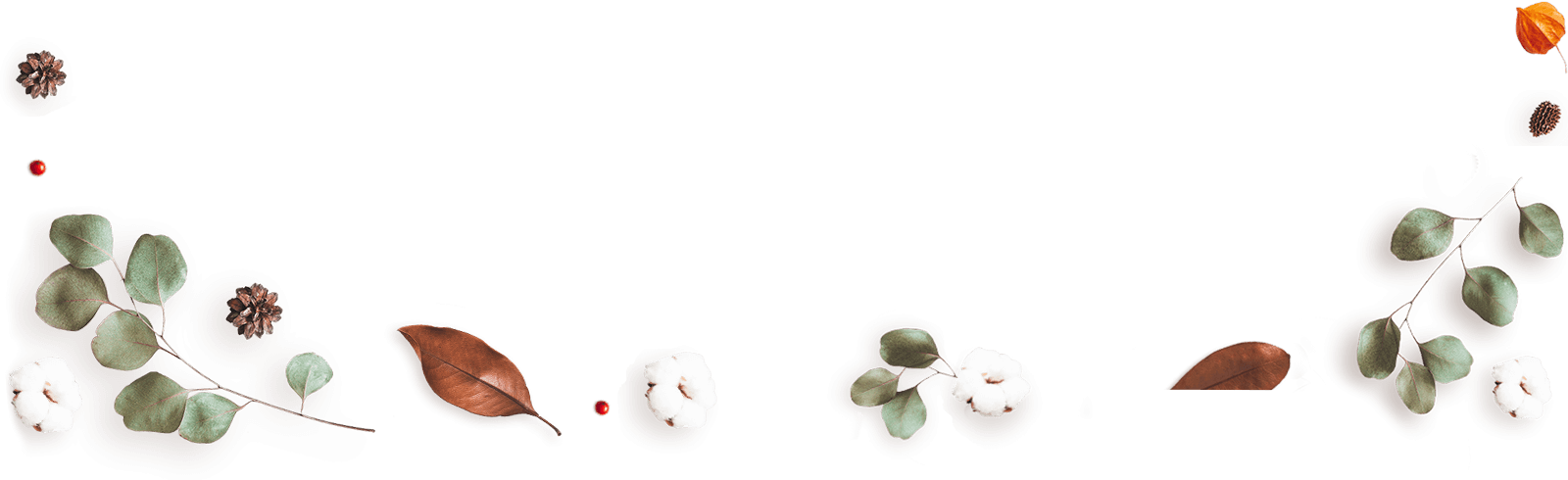 https://www.fotografiacasaluci.it/wp-content/uploads/2020/12/floating_image_13.png