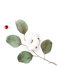 https://www.fotografiacasaluci.it/wp-content/uploads/2020/12/floating_image_flower_01.png