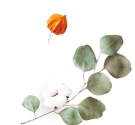 https://www.fotografiacasaluci.it/wp-content/uploads/2020/12/floating_image_flower_02.png