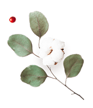 https://www.fotografiacasaluci.it/wp-content/uploads/2020/12/floating_image_flower_03.png