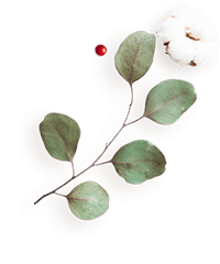 https://www.fotografiacasaluci.it/wp-content/uploads/2020/12/floating_image_flower_04.png